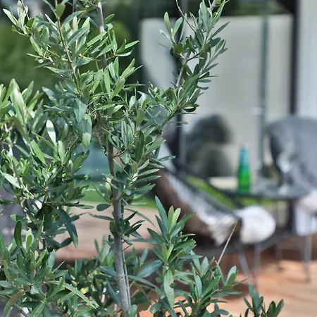 Modernes Studio-apartment Apartment